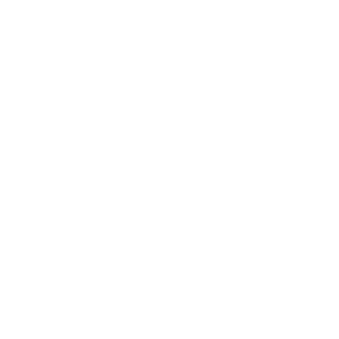 White logo - MS